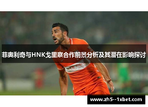 菲奥利奇与HNK戈里察合作前景分析及其潜在影响探讨