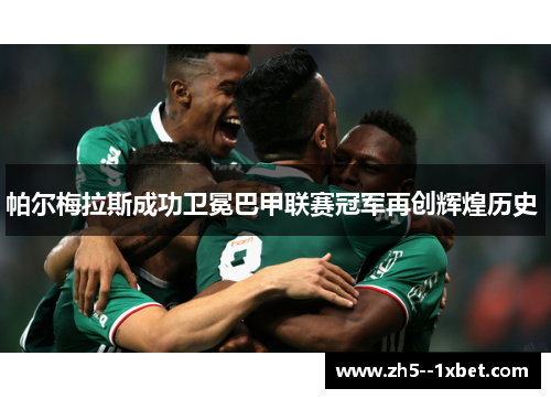 帕尔梅拉斯成功卫冕巴甲联赛冠军再创辉煌历史 